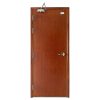 Cửa chống cháy vân gỗ 1 cánh